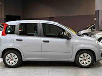 Usata Fiat Panda Easy 69 CV (50 kW) 2022 Grigio pastello Utilitaria