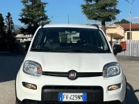 Usata Fiat Panda 86 CV (63 kW) 2018 Other Utilitaria