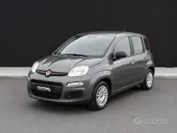 Usata Fiat Panda S 70 CV (51 kW) 2021 Grigio Utilitaria