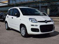 Nuova Fiat Panda Icon 65 CV (47 kW) 2026 Bianco gelato Utilitaria