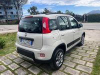 usata Fiat Panda 4x4 1.3MJET 75CV ELD-2013UNIPRO