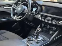 Usata Alfa Romeo Stelvio Super 160 CV (117 kW) 2020 Blu/azzurro SUV