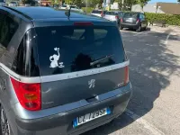 Usata Peugeot 1007 68 CV (50 kW) 2006 Grigio Monovolume