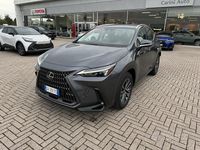 Usata Lexus NX350h Business Edition 244 CV (179 kW) 2024 Grigioblack SUV
