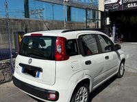 Usata Fiat Panda Lounge 75 CV (55 kW) 2013 Utilitaria