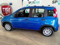 usata Fiat Panda 1.0 FireFly S&S Hybrid