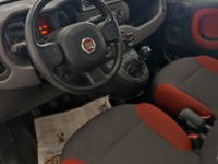 usata Fiat Panda 1.2 Easy 5 posti