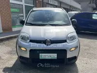 Usata Fiat Panda City Life 84 CV (61 kW) 2021 Gray Utilitaria
