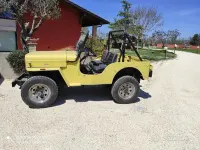 Usata Jeep CJ 1980 Giallo SUV