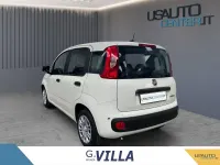 Usata Fiat Panda Easy 70 CV (51 kW) 2020 Grigio Utilitaria