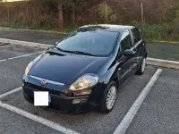 Usata Fiat Punto Evo Dynamic 65 CV (47 kW) 2011 Utilitaria