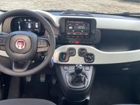 Nuova Fiat Panda Cross Cross 69 CV (50 kW) 2025 Blu Utilitaria