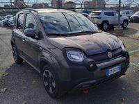 usata Fiat Panda Cross Panda 1.0 firefly hybrid City s