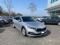 Usata Skoda Octavia Ambition 116 CV (85 kW) 2023 Grigio Station wagon
