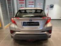 usata Toyota C-HR 1.8 hv Active fwd e-cvt del 2017 usata a Albano Vercellese