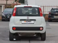 Usata Fiat Panda Easy 84 CV (61 kW) 2019 Bianco Utilitaria