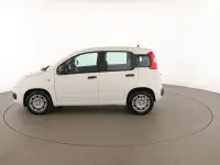 Usata Fiat Panda 69 CV (50 kW) 2025 Bianco Utilitaria