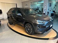 usata Toyota RAV4 Hybrid RAV4 2.5 HV (222CV) E-CVT AWD-i Dynamic