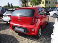 Usata Kia Picanto Active 67 CV (49 kW) 2017 Rosso Utilitaria