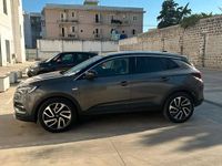 Usata Opel Grandland X Ultimate 177 CV (130 kW) 2018 Marrone SUV