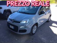 Usata Fiat Panda 69 CV (50 kW) 2022 Grigio Utilitaria