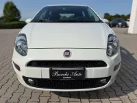Usata Fiat Punto Lounge 77 CV (56 kW) 2016 Bianco Utilitaria