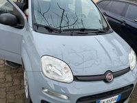 Usata Fiat Panda 95 CV (69 kW) 2018 Utilitaria