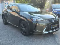 Usata Lexus UX 250h Executive Line 184 CV (135 kW) 2019 Grigio SUV