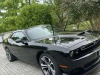 Usata Dodge Challenger 381 CV (280 kW) 2020 Coupé