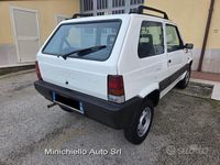 Usata Fiat Panda 4x4 2003 Bianco Utilitaria