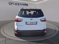Usata Ford Ecosport Active 125 CV (91 kW) 2022 Frozen white SUV