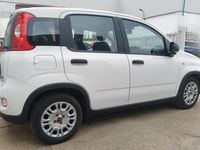 Usata Fiat Panda S 70 CV (51 kW) 2023 Bianco Utilitaria