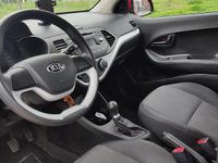 Usata Kia Picanto 67 CV (49 kW) 2016 Rosso Utilitaria