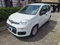 Usata Fiat Panda Easy 69 CV (50 kW) 2015 Bianco Utilitaria
