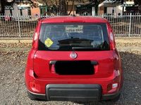 Usata Fiat Panda S 69 CV (50 kW) 2024 Utilitaria