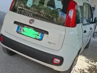 Usata Fiat Panda 1988 Bianco Berlina