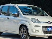Usata Fiat Panda 80 CV (58 kW) 2016 Bianco Utilitaria
