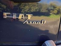 Usata Fiat 1100 46 CV (33 kW) 1965 Grigio Berlina