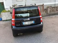 Usata Fiat Panda Dynamic 68 CV (50 kW) 2011 Utilitaria
