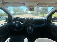 Usata Fiat Panda 70 CV (51 kW) 2020 Utilitaria