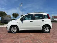 Usata Fiat Panda Easy 75 CV (55 kW) 2013 Bianco Utilitaria