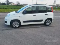 Gebraucht Fiat Panda 69 PS (50 kW) 2012 Weiß Kleinwagen