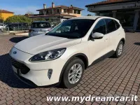 Usata Ford Kuga 129 CV (94 kW) 2021 Bianco SUV