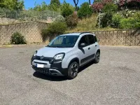 Usata Fiat Panda Cross Cross 69 CV (50 kW) 2021 Grigio Utilitaria