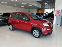 Usata Fiat Panda S 69 CV (50 kW) 2024 Rosso Utilitaria