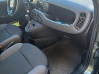 Usata Fiat Panda 4x4 Wild 86 CV (63 kW) 2019 Verde Utilitaria