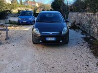Usata Fiat Punto Evo Dynamic 69 CV (50 kW) 2010 Utilitaria