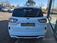 Usata Ford Kuga ST-Line 120 CV (88 kW) 2022 Bianco SUV