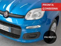Usata Fiat Panda Icon 69 CV (50 kW) 2025 Blu/azzurro Utilitaria