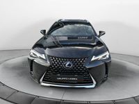 usata Lexus UX Hybrid Business